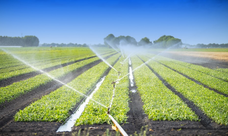 How to choose the Ideal Irrigation Supplies Company - the neo com