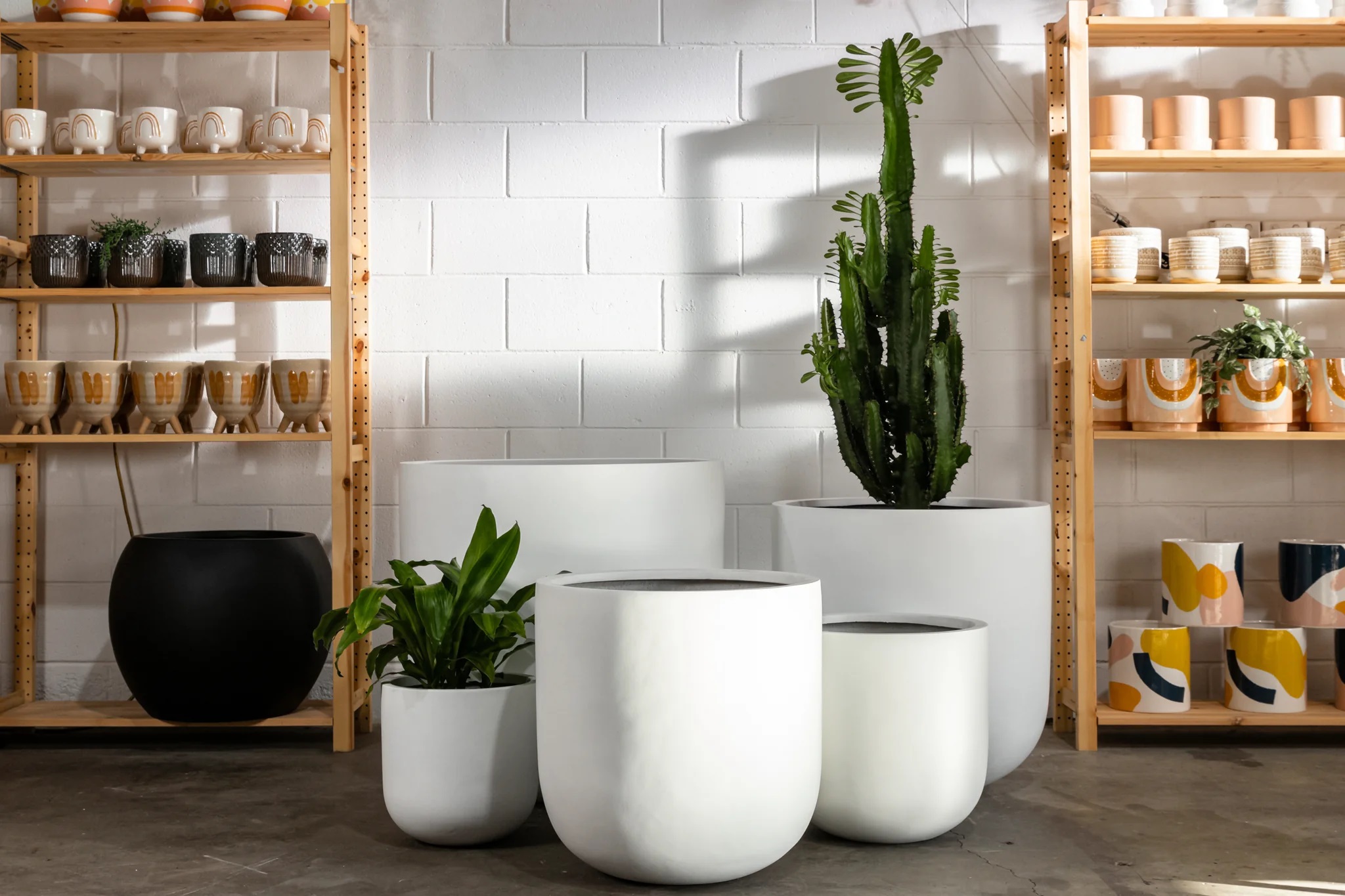 Bulk Discounts on Plant Pots Wholesale Excellence the neo com