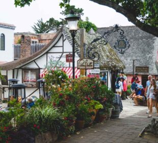 Your Family on Carmel by the Sea